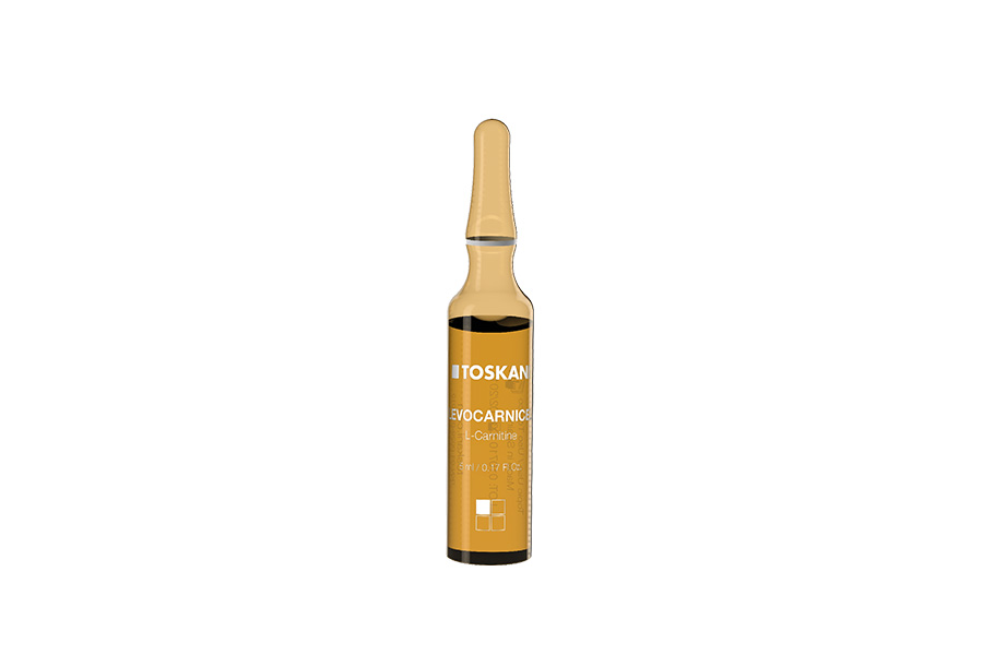 Levocarnicel.jpg ویال لووکارنیسل توسکانی - Toskani Levocarnicel - Image 1